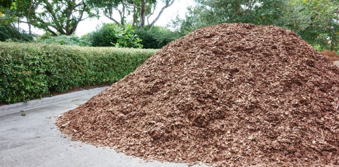 A pile of mulch delivered beside a driveway